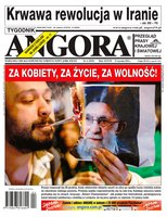 widok pierwszej strony Angora